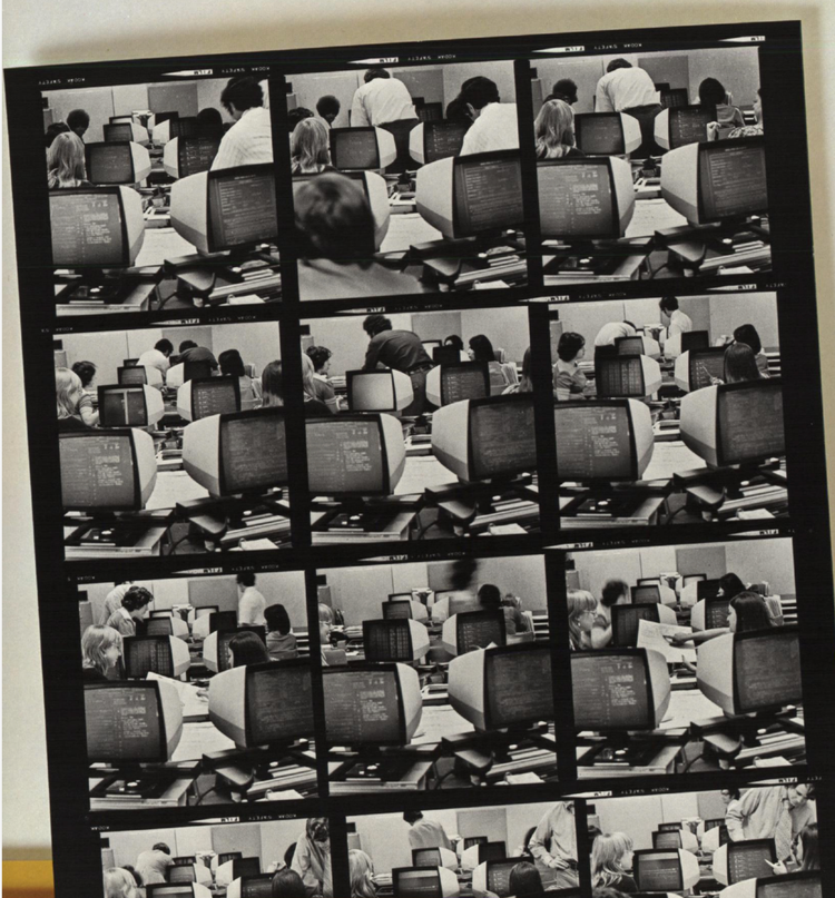 Darling, Fraud & Fortune