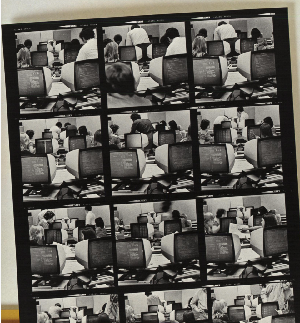 Darling, Fraud & Fortune